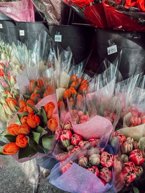 A display of fresh tulip bouquets wrapped in clear and colored tissue paper, featuring vibrant orange, pink, and red blossoms with glossy green stems and leaves. The bouquets are arranged in black buc